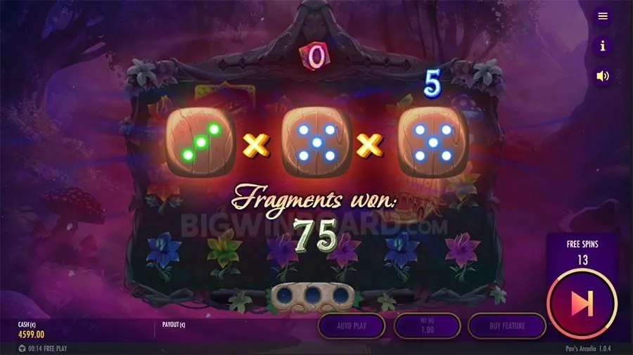 User Choices for bigbunny app Cookies